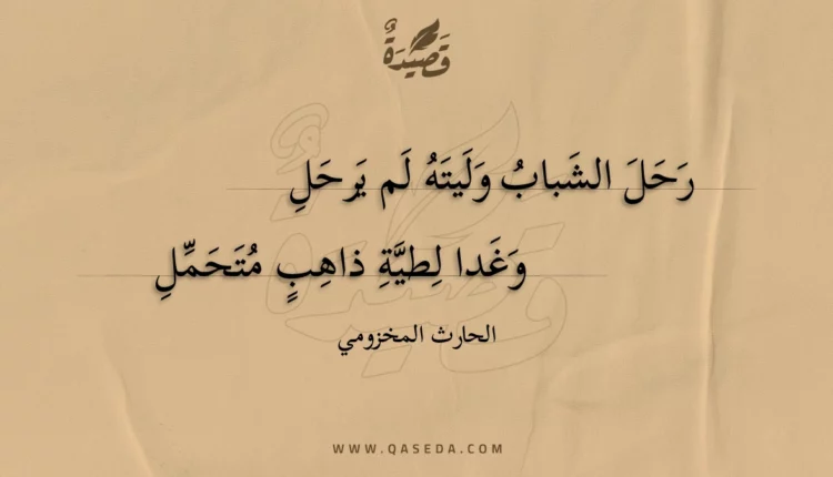 قصيدة رحل الشباب وليته لم يرحل