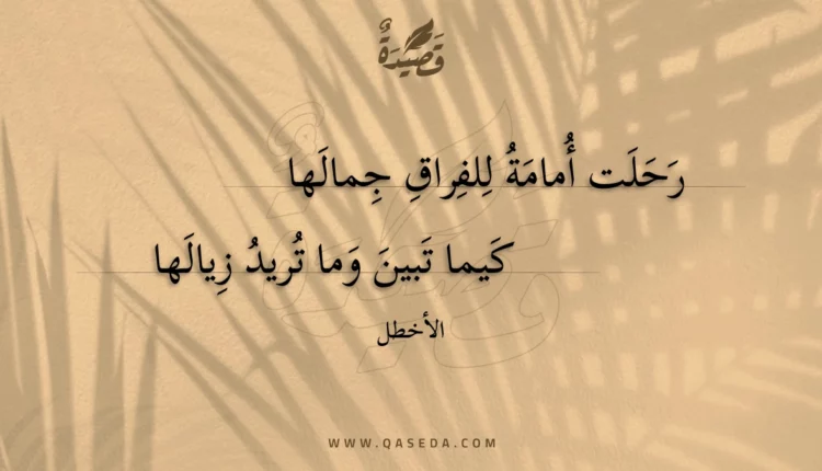 قصيدة رحلت أمامة للفراق جمالها