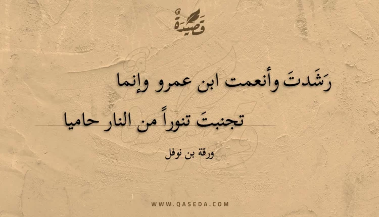 قصيدة رشدت وأنعمت ابن عمرو وإنما