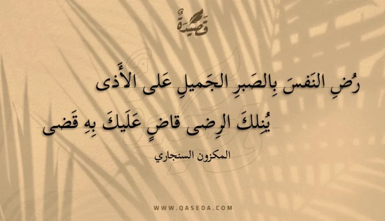 قصيدة رض النفس بالصبر الجميل على الأذى