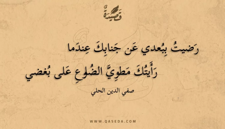 قصيدة رضيت ببعدي عن جنابك عندما