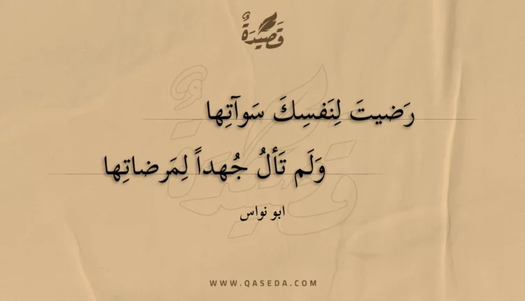 قصيدة رضيت لنفسك سوآتها