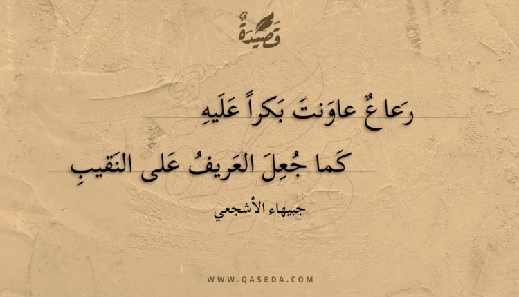 قصيدة رعاع عاونت بكرا عليه