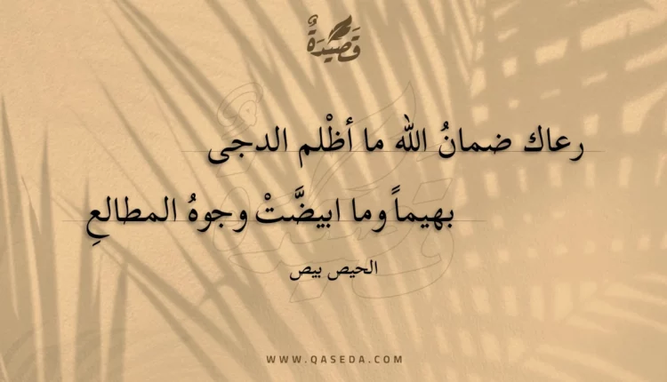 قصيدة رعاك ضمان الله ما أظلم الدجى