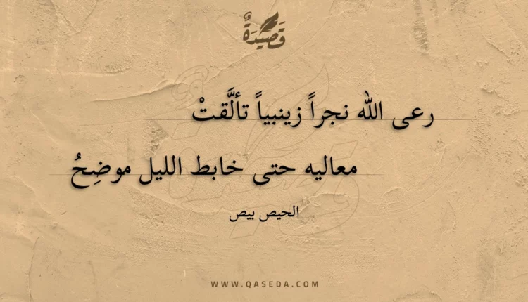 قصيدة رعى الله نجرا زينبيا تألقت