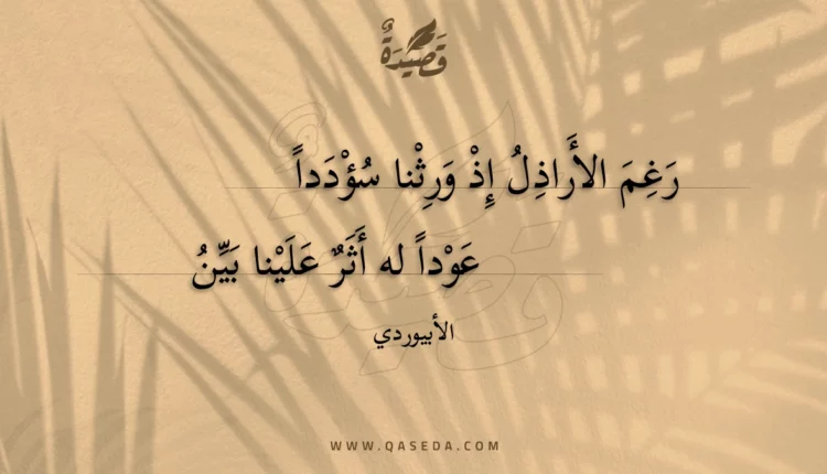 قصيدة رغم الأراذل إذ ورثنا سؤددا