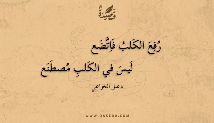 قصيدة رفع الكلب فاتضع