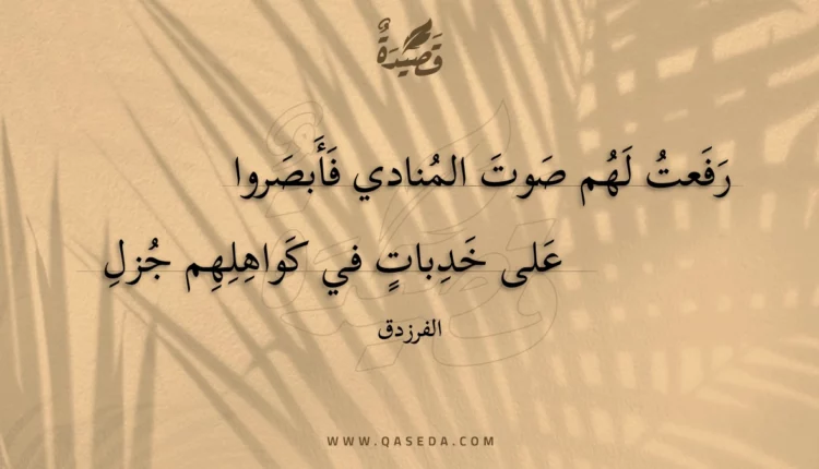 قصيدة رفعت لهم صوت المنادي فأبصروا