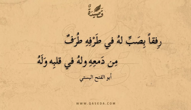 قصيدة رفقا بصب له في طرفه طرف