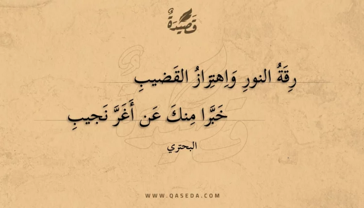 قصيدة رقة النور واهتزاز القضيب