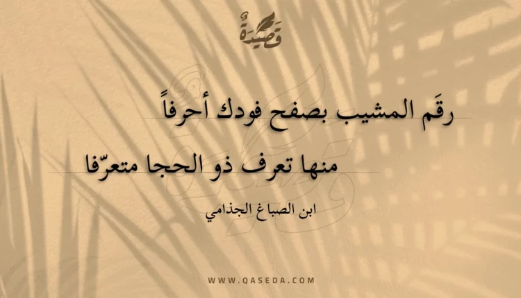 قصيدة رقم المشيب بصفح فودك أحرفا
