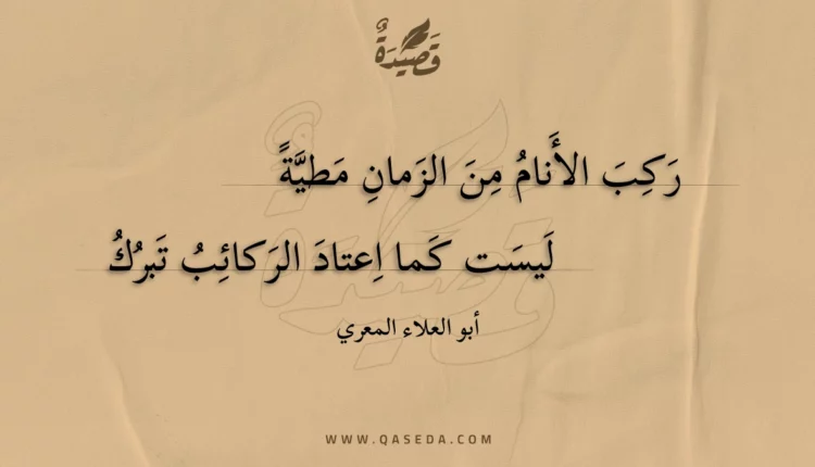 قصيدة ركب الأنام من الزمان مطية