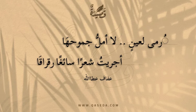 قصيدة رمى لعين .. لا أمل جموحها