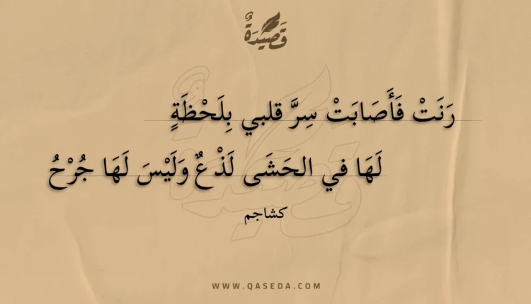 قصيدة رنت فأصابت سر قلبي بلحظة