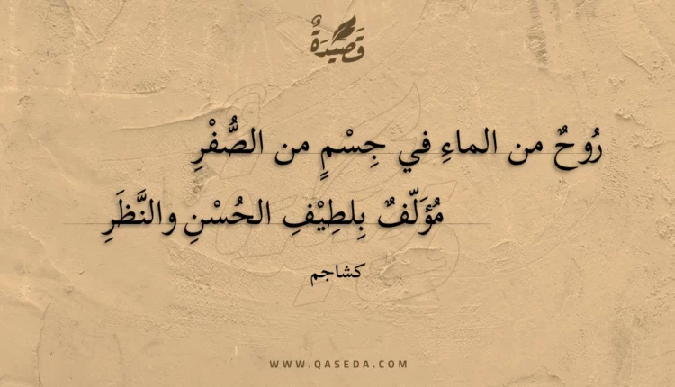 قصيدة روح من الماء في جسم من الصفر