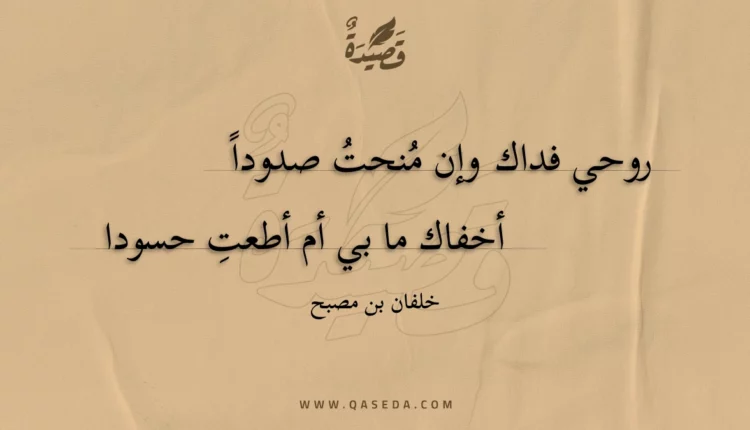 قصيدة روحي فداك وإن مُنحتُ صدوداً