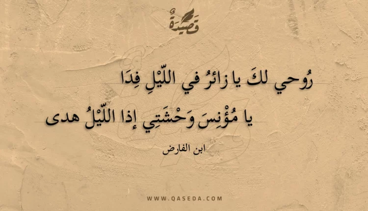 قصيدة روحي لك يا زائر في الليل فدا