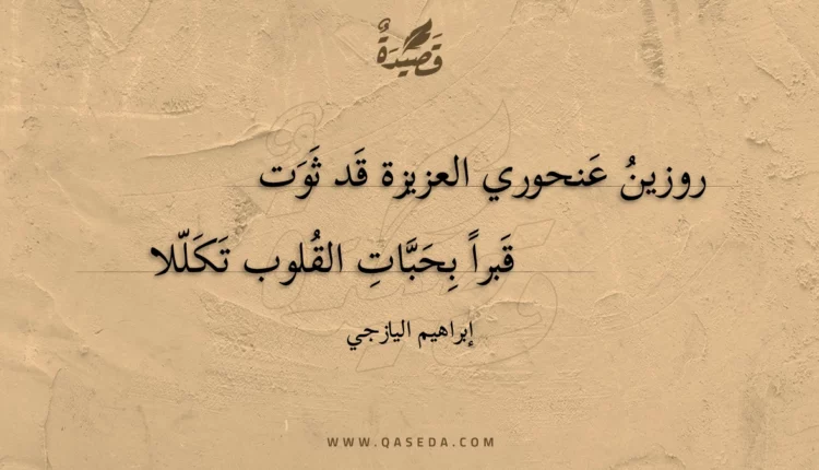 قصيدة روزين عنحوري العزيزة قد ثوت