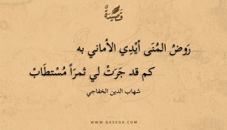 قصيدة روض المنى أيدي الأماني به
