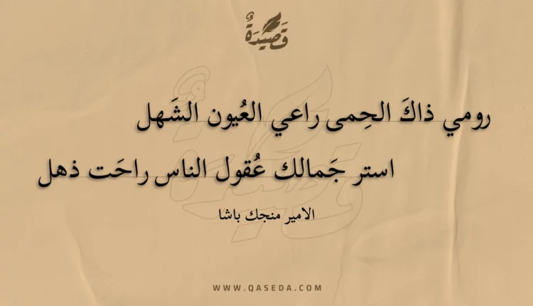 قصيدة رومي ذاك الحمى راعي العيون الشهل