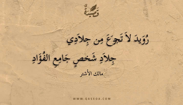 قصيدة رويد لا تجزع من جلادي