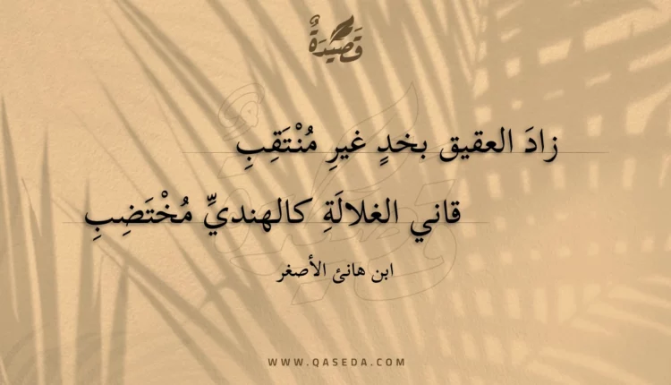 قصيدة زاد العقيق بخد غير منتقب