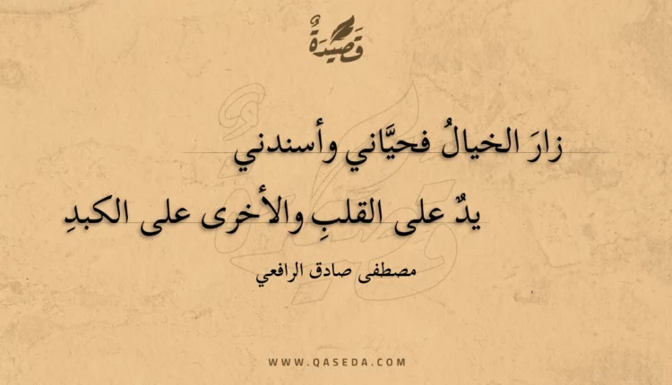 قصيدة زار الخيال فحياني وأسندني