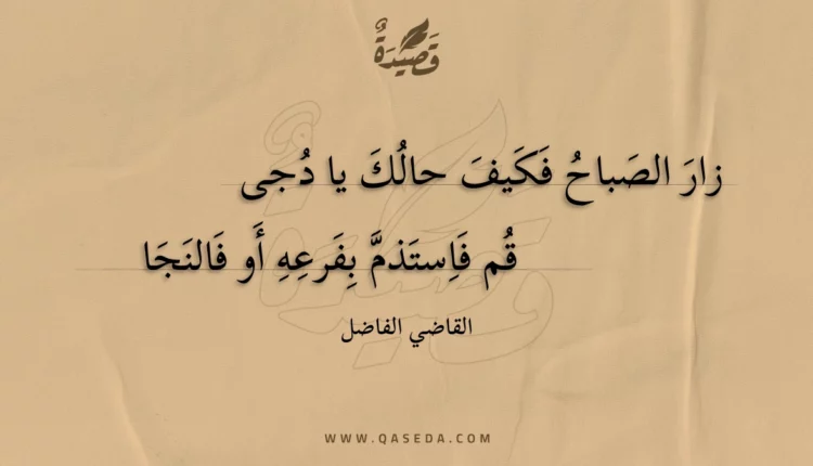 قصيدة زار الصباح فكيف حالك يا دجى