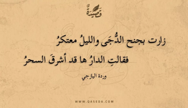قصيدة زارت بجنح الدجى والليل معتكر