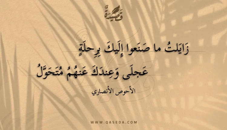 قصيدة زايلت ما صنعوا إليك برحلة