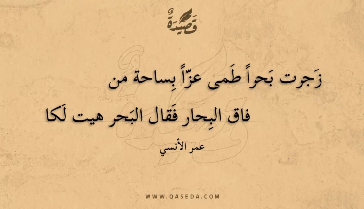 قصيدة زجرت بحرا طمى عزا بساحة من
