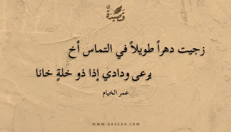 قصيدة زجيت دهراً طويلاً في التماس أخ
