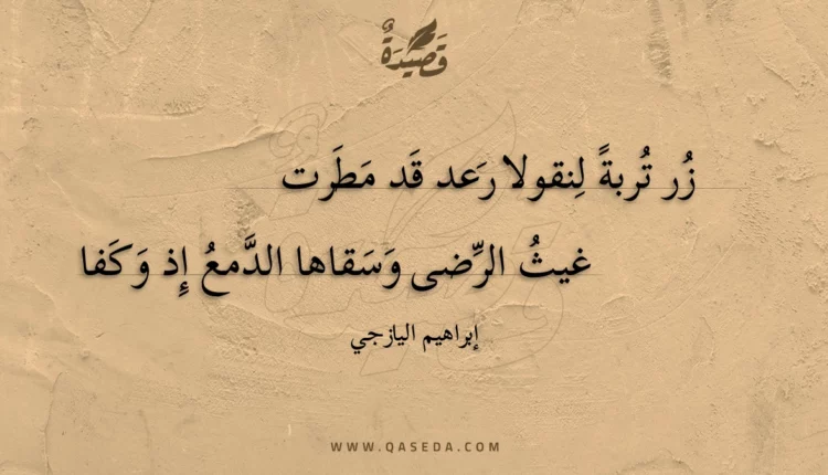 قصيدة زر تربة لنقولا رعد قد مطرت
