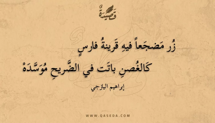قصيدة زر مضجعا فيه قرينة فارس