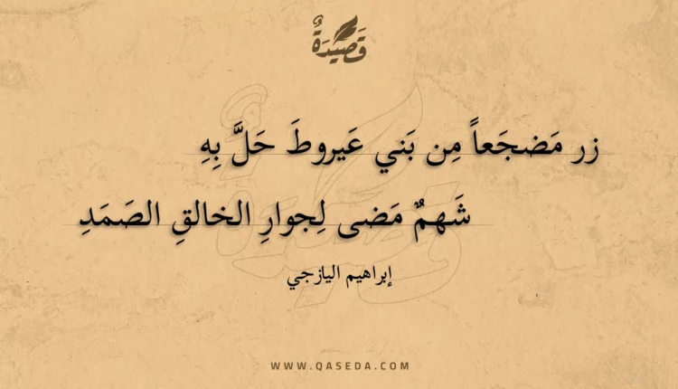 قصيدة زر مضجعا من بني عيروط حل به