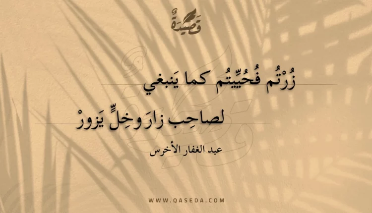 قصيدة زرتم فحييتم كما ينبغي