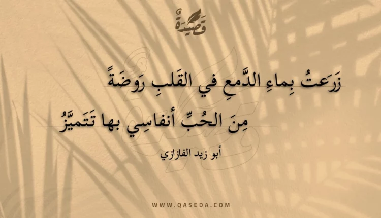 قصيدة زرعت بماء الدمع في القلب روضة