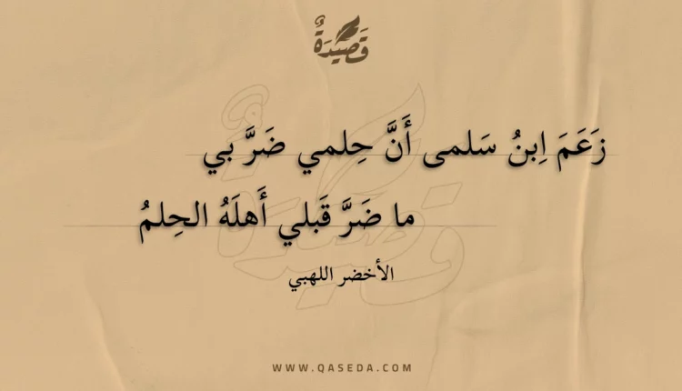 قصيدة زعم ابن سلمى أن حلمي ضر بي