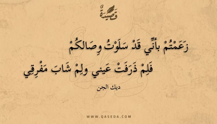 قصيدة زعمتم بأني قد سلوت وصالكم
