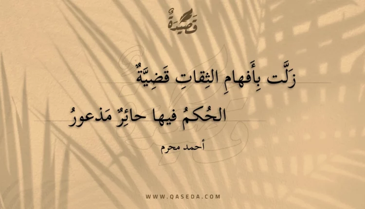 قصيدة زلت بأفهام الثقات قضية