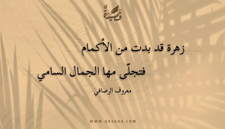 قصيدة زهرة قد بدت من الأكمام
