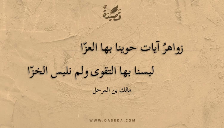 قصيدة زواهر آيات حوينا بها العزا