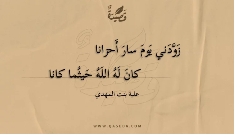 قصيدة زودني يوم سار أحزانا