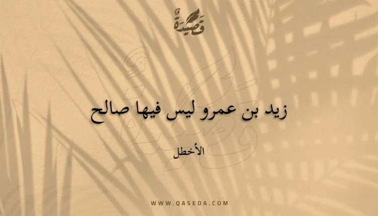 قصيدة زيد بن عمرو ليس فيها صالح