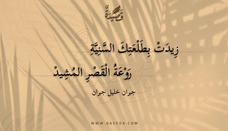 قصيدة زيدت بطلعتك السنية