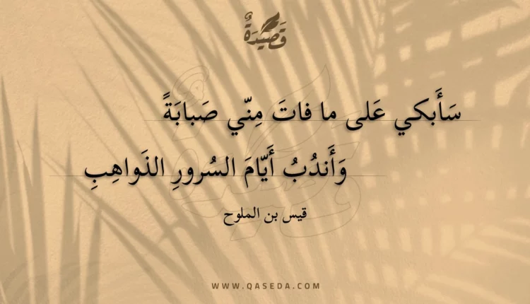 قصيدة سأبكي على ما فات مني صبابة