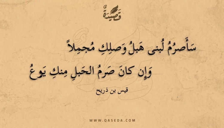 قصيدة سأصرم لبنى هبل وصلك مجملا