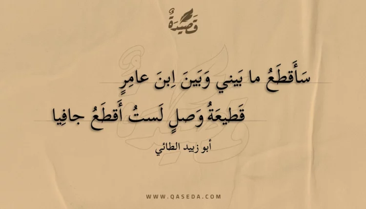 قصيدة سأقطع ما بيني وبين ابن عامر