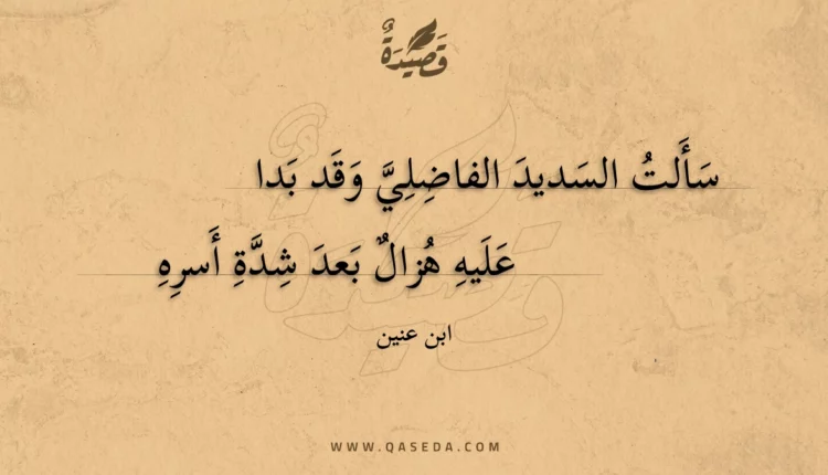 قصيدة سألت السديد الفاضلي وقد بدا