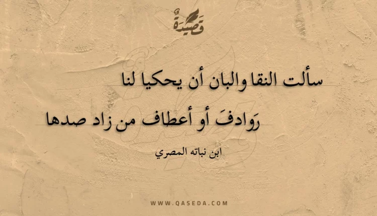 قصيدة سألت النقا والبان أن يحكيا لنا